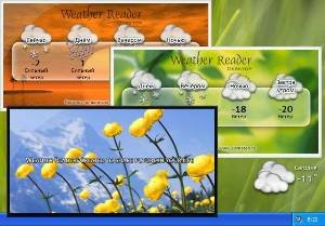 Weather Reader Desktop 1.0 b4