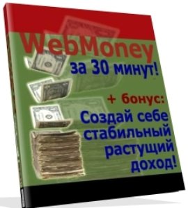 WebMoney за 30 минут