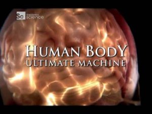  Наше тело уникальная машина: Мозг (2007)TVRip