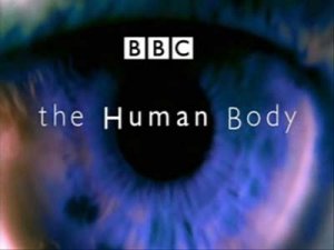 BBC. Тело человека:Обыкновенное чудо (2007)TVRip