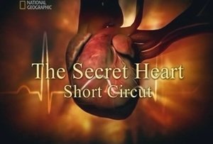 Секреты нашего сердца. Искра жизни / The Secret Heart. Short circut (2007) TVRip