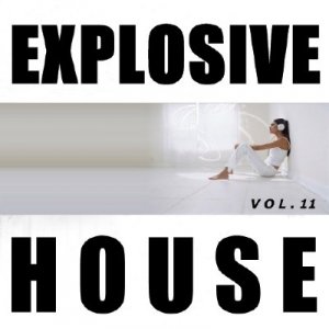 Explosive House Vol.11 (2009)