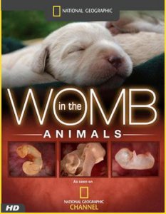 В утробе матери. Животные / In the womb animals (2006) HDTV [720p]