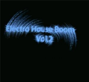 Electro House Boom vol.2 (2009)