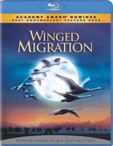 Птицы / Winged Migration (2001) BDrip [720p]