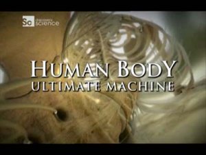 Наше тело уникальная машина: Чувства (2007)TVRip