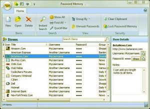 Password Memory 2009 v2.1.1.128