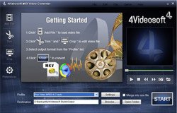 4Videosoft MKV Video Converter v3.1.10