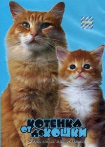От котенка до кошки / Сats master (2004) DVD5