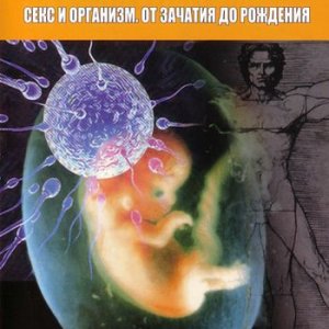 Атлас тела. Секс и организм. От зачатия до рождения / Body atlas. Sex. In the womb (2007) DVD5