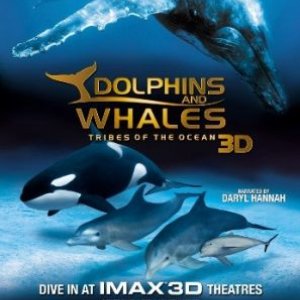 Дельфины и киты.3D / Dolfhins and Whales.Tribes of the ocean.3D (2008/HDTV/Тизер)