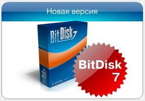 BitDisk v7.0
