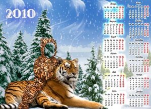 Шаблон для фотошопа- Календарь 2010 на тигре