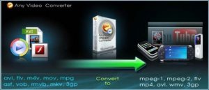 Any Video Converter Professional Portable 3.0.1 Multilingual
