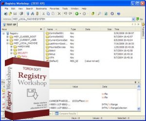 TorchSoft Registry Workshop v4.2.4