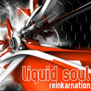 Liquid Soul - Reinkarnation (2010)