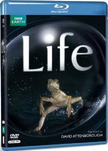  BBC: Жизнь / BBC: Life {4-Disc Edition} (2009) Blu-ray Disc Rip