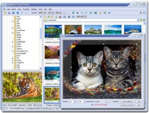 FastStone Image Viewer 4.2 Final Corporate