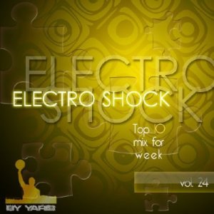 Electro Shock vol.24 (2010)