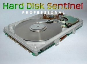 Hard Disk Sentinel Standart 3.20 Build 3853 Rus