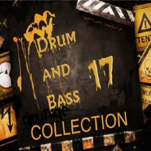 Drum and Bass Collection 17 (2010)