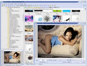 FastStone Image Viewer v4.3 Final Corporate