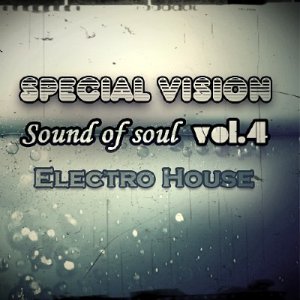 Special Vision Electro House Vol. 4 (2011)