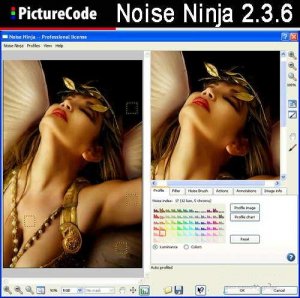 PictureCode Noise Ninja 2.3.6 for Photoshop (x32/x64)