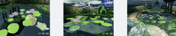 Lovely Pond 3D ScreenSaver v.1.7