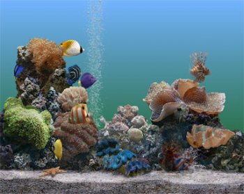 Marine Aquarium v2.6
