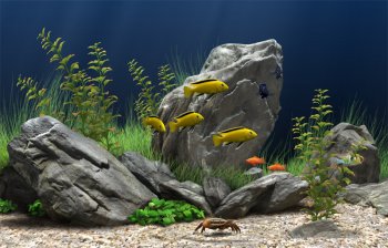 Dream Aquarium XP