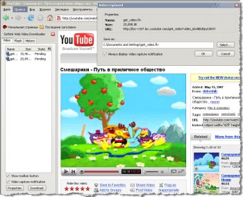 Sothink Web Video Downloader for Firefox 3.5 build 70914