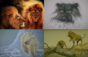 Pictures of animals