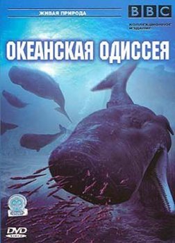 BBC: Океанская одиссея / BBC:Deep Ocean (2006) DVDrip