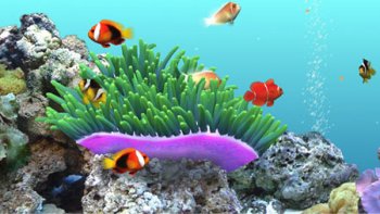 Formosoft DigiFish ClownFish v1.0 Retail