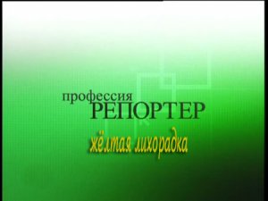 Профессия репортёр: Желтая лихорадка (2007)TVRip