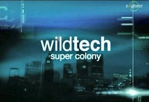 Дикая технология. Суперколонии / Wild Tech. Super Colony (2003) TVRip