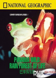 Дикая Панама. Жизнь тропического леса / Panama Wild: Rain forest of life (1996) DVDRip