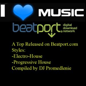 A Top Released of February 2009 on Beatport. com (2009)