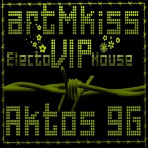 ElectroVIPHouse (2009)