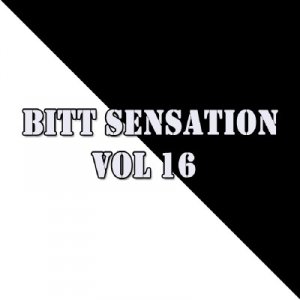 Bitt Sensation Vol 16 (2009)