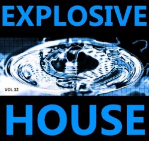 Explosive House Vol.12