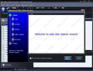 Wise Disk Cleaner Pro v4.51 Build 191
