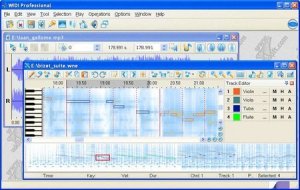 WIDI Recognition System 4.03 Professional