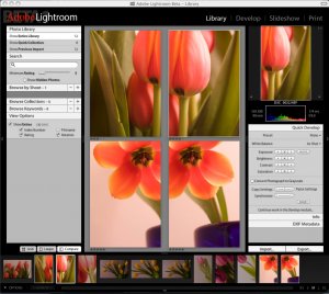 Adobe Photoshop Lightroom 2.4 Build 572242 Final Rus