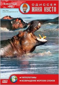 Одиссея Кусто №6: Гиппопотамы. Возвращение морских слонов / Return of the Sea Elephants (1973) DVD5