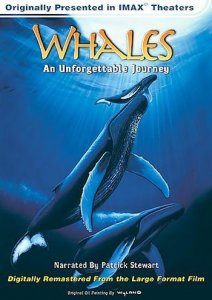 IMAX: Киты: незабываемое путешествие / Whales: An Unforgettable Journey (1997) DVDRip