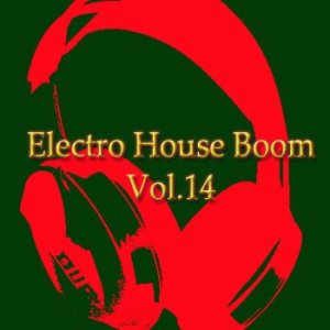 Electro House Boom Vol.14 (2009)
