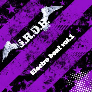 SRDB Electro beat vol.1 (2009)