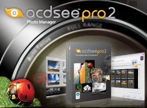 Экспресс видеокурс ACDSee Pro2